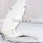 Factory Bathroom Auto-cleaning Toilet Bidet Seat &wc Bidet Seat