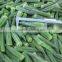 frozen whole okra