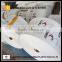 Clear Plastic heavy duty packing bag