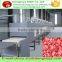 Stainless steel industrial microwave drying machine/packaging food sterilizer