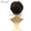 Dynamic hair Style Sample order Welcome OEM human hair wigs short