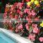 Flower Tower is a freestanding vertical planter,take your flower garden to new heights and save space