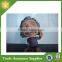 Home Decoration Resin Custom Einstein Bobble Head Figurine                        
                                                Quality Choice