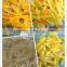 Full Automatic 2D & 3D Fried Pellet Snack Making Machine
