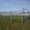 China manufacture galvanized steel cattle corrals panels to build a round pen