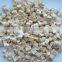 supply Frozen dried mushroom dices with good quality for sale