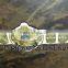 Wing Eagle Wrestling Champion Belt