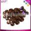 One Donor Real Virgin Human Hair 100% Unprocessed Charming AAAAA Remy Brazilian Micro Braid Hair Extensions