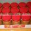 Choice Quality Peanut butter creamy & crunchy
