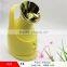 Face Skin Rejuvenation and Cleaning Beauty Equipment professional facial steamers