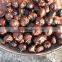 Canned chestnuts water