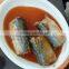 Best Banned Sardines In Vegetable Oil From China