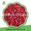 Chinese High Quality Organic Frozen Fruit Product Vacciniumvitis-idaea