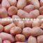 Wholesale peanut