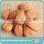 top quality raw organic apricot seeds, sweet apricot kernels for nuts and seeds company with wholesale price