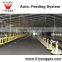 Automatic Poultry House Animal feeding line for broiler chicken Poultry equipment in Animal feeding system