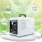Portable Domestic Patent for Healthier Space Ozone Ceramic Generator