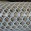 HDPE plastic mesh,Plastic flat netting,HEX plastic mesh (China factory)