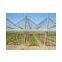 Virgin HDPE Anti Hail Net (Leno Net) 10% Crystal