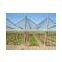 Fruit Trees Protection Net/ Vineyard Protection Net/ Plastic Anti-hail Net