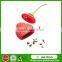 Customizable Eco-friendly Reusable Strawberry Shape Silicone Tea Infuser Unique Design Silicone Tea Infuser