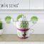 Ceramic Tea for One Set With Butterfly Decal ,tea Pot,tea Sets
