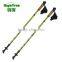 Factory Price nordic walking poles