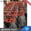 API6D ASTM A216 WCB Cast Steel Fugitive Emission Globe Valve