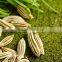 DILL SEED EXTRACT