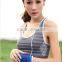 Hsz-wsb0010 2016 Cheap Wholesale Women Plus Size Sports Bra Stripe Pattern Seamless Tube Gym Wear Fitness Bras