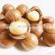 2016 best selling macadamia nuts sheller