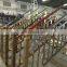 Mirror Finish Steel Pipe Brass Color Stainless Steel Tube