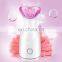Factory Directly OEM 280W 65ML Portable Mini Facial Steamer Hot Vapor Ozone Face Steamer