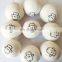 Eco Friendly Pure White Sheep Natural Organic New Zealand Wholesale Wool Dryer Ball