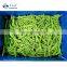 Sinocharm Xiamen  L7-13cm Frozen Green Beans IQF Whole Green Beans