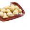 Hot Selling Large Daily Nuts Delicious Hand-peeled Macadamia Nuts kernel without shell or shelled macadamia
