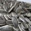 wholesale chinese famous brand qiaqia roasted sunflower seeds sunflower kernel seeds sunflower