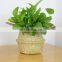 Natural plant pots seagrass basket planter ecor friendly seagrass woven style belly basket seagrass