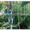 High Quality Outdoor Obstacle Ropes Course Team Building Tree Top Adventure