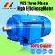 YE3 Series High Efficiency Three-phase Asynchronous Motor YE3-80M1-2