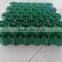 Black/green Color Grass Grid / Grass Grid for Parking Lot With Best Price