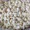 frozen cauliflower floret