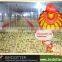 new design and popular modern automatic broiler farm poultry farming materials