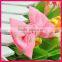 2015 hot sale design boeknot applique for hair WPH-1795