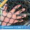 China Supplier Cheap Hot-dipped Used Chain Link Fence for Sale From Hebei