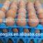 egg trays/box/tray made by injection molding machine
