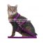 Beautiful Design Nylon Pet Cat Kitten Adjustable Harness Lead Leash Collar Belt Safety Rope New High Quality