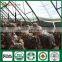Mushroom Log Growing Spawn China Supplier Factory Price