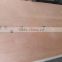 18MMX1220X2440 competitive price commercial plywood