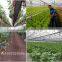 Equipment for Vertical Farming, Hydroponic NFT and Hydroponic Systems